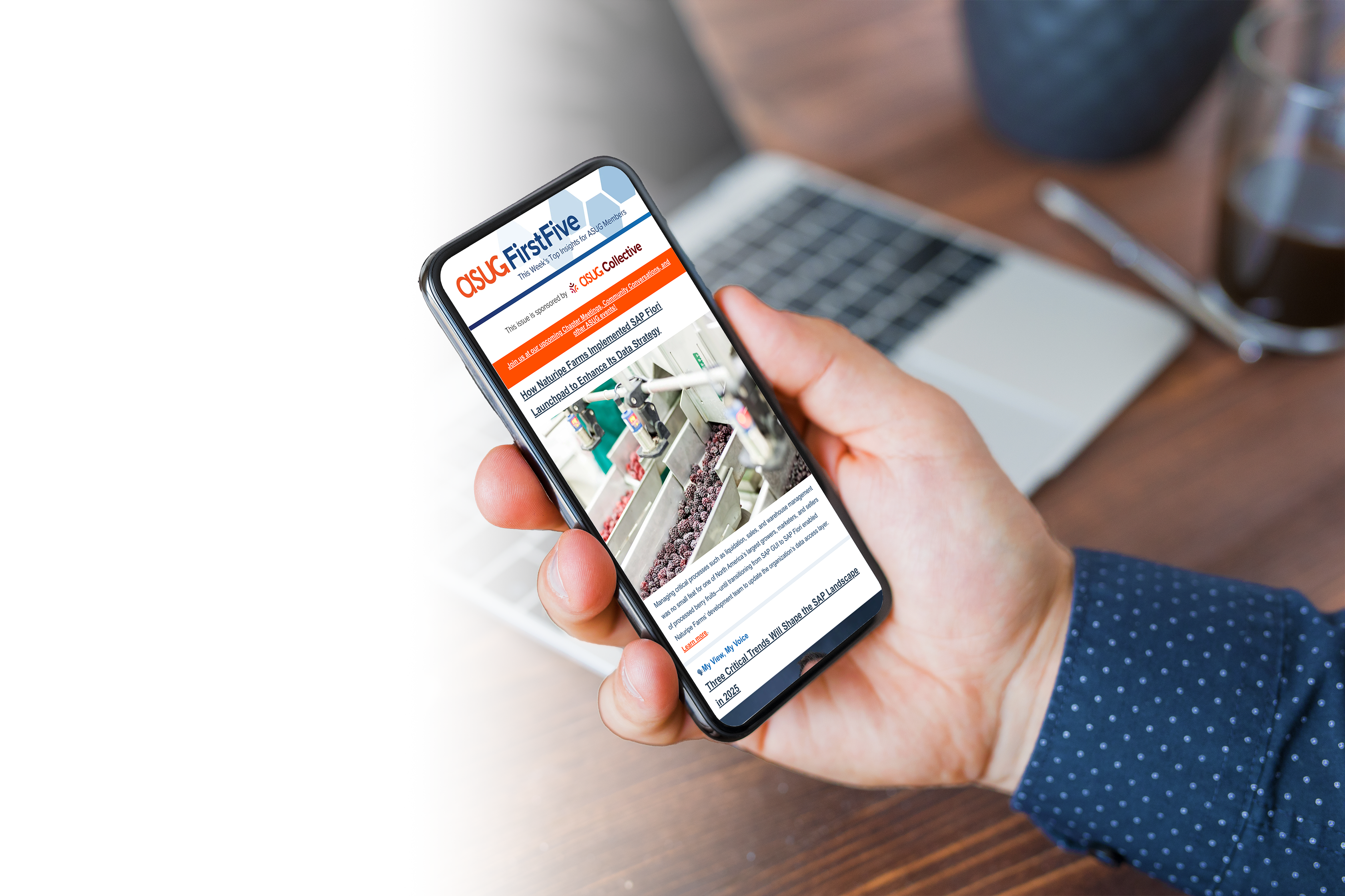 FF Newletter Image 2025